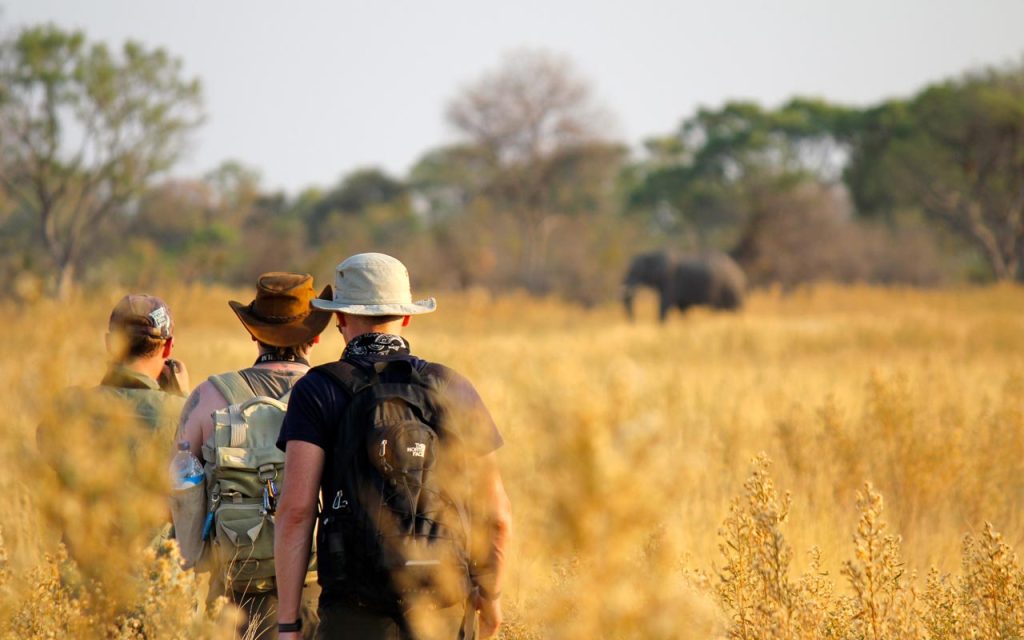 rowland 5 Days Tanzania Luxury Safari | Tanzania Wildlife Safari Packages