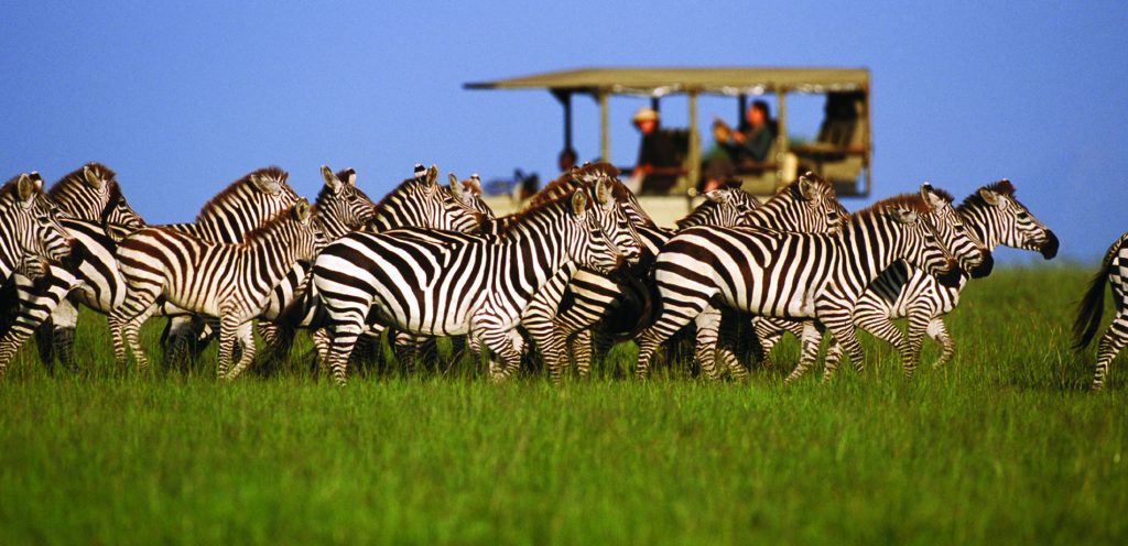 Tanzania Safaris | Luxury Bespoke Vacations with rowlandsafaris
